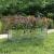 Strat înălțat de grădină argintiu 160x40x45 cm oțel galvanizat GartenMobel Dekor