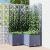 Jardinieră de grădină cu spalier,gri închis, 80x80x136 cm, PP GartenMobel Dekor