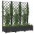 Jardinieră de grădină cu spalier negru, 120x40x121,5 cm, PP GartenMobel Dekor