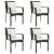 Set mobilier de grădină cu perne, 5 piese, negru, poliratan GartenMobel Dekor