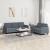 Set canapea, 2 piese, gri închis, catifea GartenMobel Dekor