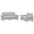 Set de canapele cu perne, 2 piese, gri deschis, catifea GartenMobel Dekor