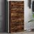 Pantofar cu 4 sertare rabatabile, stejar fumuriu, 80x21x163,5cm GartenMobel Dekor