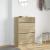 Pantofar cu 2 sertare rabatabile, stejar sonoma, 80x34x116 cm GartenMobel Dekor