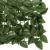 Paravan intimitate de balcon din frunze verde închis 300x150 cm GartenMobel Dekor