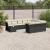Set canapele de grădină cu perne, 11 piese, negru, poliratan GartenMobel Dekor