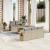 Set canapele de grădină cu perne, 6 piese, bej, poliratan GartenMobel Dekor
