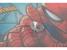 Parasolar Nickelodeon Marvel Spiderman set 2 buc. 44x35cm AutoDrive ProParts