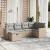 Set canapele de grădină, 6 piese, cu perne, bej, poliratan GartenMobel Dekor