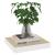 Raft de perete suspendat, stejar/alb, 23x23,5x3,8 cm, MDF GartenMobel Dekor