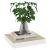 Rafturi perete suspendate 2 buc. alb/stejar 23x23,5x3,8 cm MDF GartenMobel Dekor