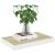 Rafturi perete suspendate 4 buc. alb/stejar 40x23x3,8 cm MDF GartenMobel Dekor