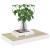 Rafturi perete suspendate 4 buc. alb/stejar 50x23x3,8cm MDF GartenMobel Dekor