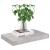 Raft de perete suspendat, gri beton, 40x23x3,8 cm, MDF GartenMobel Dekor
