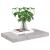 Raft de perete suspendat, gri beton, 50x23x3,8 cm, MDF GartenMobel Dekor