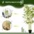 Planta bambus artificiala cu ghiveci, verde, 16x120 cm GartenVIP DiyLine