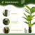 Planta bananier artificiala cu ghiveci, verde, 150 cm GartenVIP DiyLine