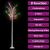 Pom Crăciun 200 LED-uri colorat 2,2 m salcie interior/exterior GartenMobel Dekor