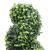 Plantă artificială de cimișir cu ghiveci, verde, 100cm, spirală GartenMobel Dekor