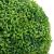 Plantă artificială cimișir cu ghiveci, verde, 50cm, formă minge GartenMobel Dekor