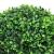 Plante artificiale cimișir cu ghiveci, 2 buc. verde 27 cm minge GartenMobel Dekor