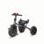 Tricicleta multifunctionala Coccolle Pianti FitLine Training
