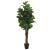 Smochin artificial cu frunze 180 de frunze 150 cm verde GartenMobel Dekor