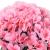 Ghirlande de flori artificiale, 3 buc., roz, 85 cm GartenMobel Dekor