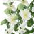 Ghirlande de flori artificiale, 3 buc., alb, 85 cm GartenMobel Dekor