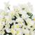 Ghirlande de flori artificiale, 3 buc., alb, 85 cm GartenMobel Dekor