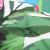 Perne de scaun spătar înalt, 4 buc., multicolor, textil GartenMobel Dekor