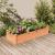 Strat grădină înălțat cu căptușeală maro 120x45x25 cm lemn brad GartenMobel Dekor