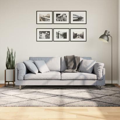 Covor pufos cu fire înalte, bej și antracit modern, 160x230 cm GartenMobel Dekor