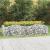 Strat înălțat cu gabion arcuit, 200x100x50 cm, fier galvanizat GartenMobel Dekor