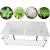 Miniseră cu capac 110 x 41 x 55 cm GartenMobel Dekor