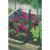 Nature Seră pliabilă tip „Pop up”, 100 x 100 x 100 cm, 6020409  GartenMobel Dekor