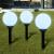 Lămpi de exterior pentru alei LED 3 buc. 20 cm, cu țăruș de sol GartenMobel Dekor