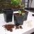 Nature Kit de start plantare cu propagator, 200 piese GartenMobel Dekor