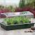 Nature Kit de start plantare cu propagator, 200 piese GartenMobel Dekor