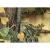 Komar Fototapet mural "Lac Tropical", 400x270 cm GartenMobel Dekor