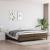 Pat box spring cu saltea, maro închis, 200x200 cm, textil GartenMobel Dekor