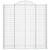 Coșuri gabion arcuite, 11 buc 200x50x200/220cm, fier galvanizat GartenMobel Dekor
