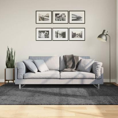 Covor „OVIEDO”, fire scurte, antracit, 160x230 cm GartenMobel Dekor