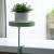 Esschert Design Tavă pentru plante cu clemă, verde, rotund, S GartenMobel Dekor