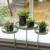 Esschert Design Tavă pentru plante cu clemă, verde, rotund, S GartenMobel Dekor