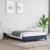 Cadru de pat, albastru, 120 x 200 cm, material textil GartenMobel Dekor