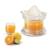 Metaltex Presa de citrice 2-in-1 "Citrus+" 300 ml GartenMobel Dekor