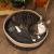 Beeztees Pat pentru pisici „Minus One Xana”, 45x14 cm, gri și maro GartenMobel Dekor