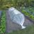 Nature Husa de plante, 4x6 m, 100µ, transparent GartenMobel Dekor