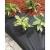 Nature Folie acoperire sol pt. control buruieni 120 g/m² 1x10 m negru GartenMobel Dekor